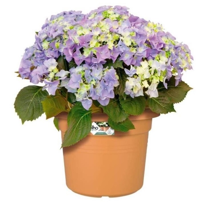 green basics cilinder 45cm mild terra