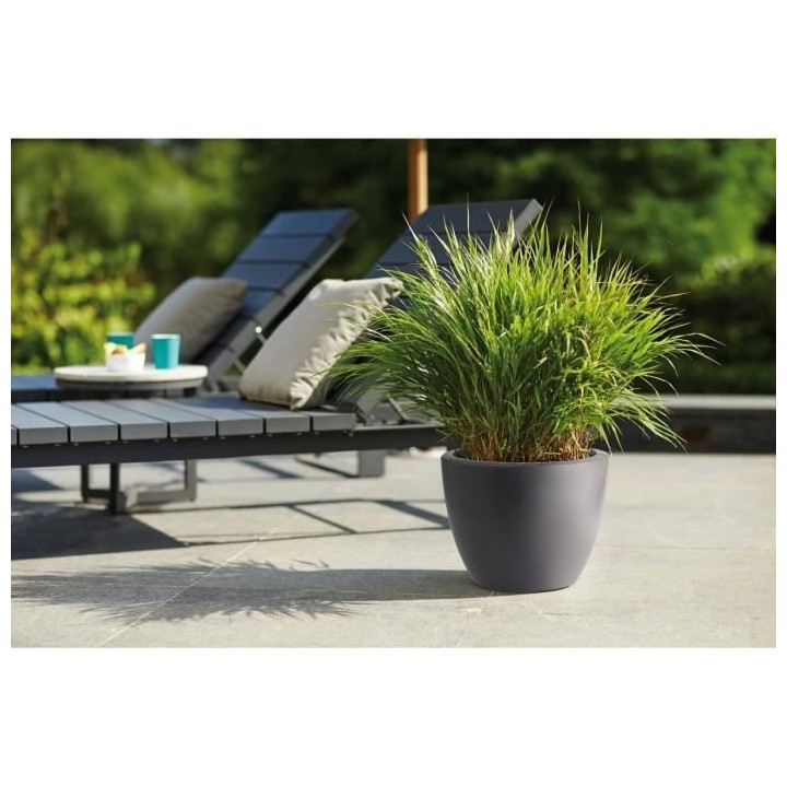 Pure Soft Round Wheels 40 anthracite