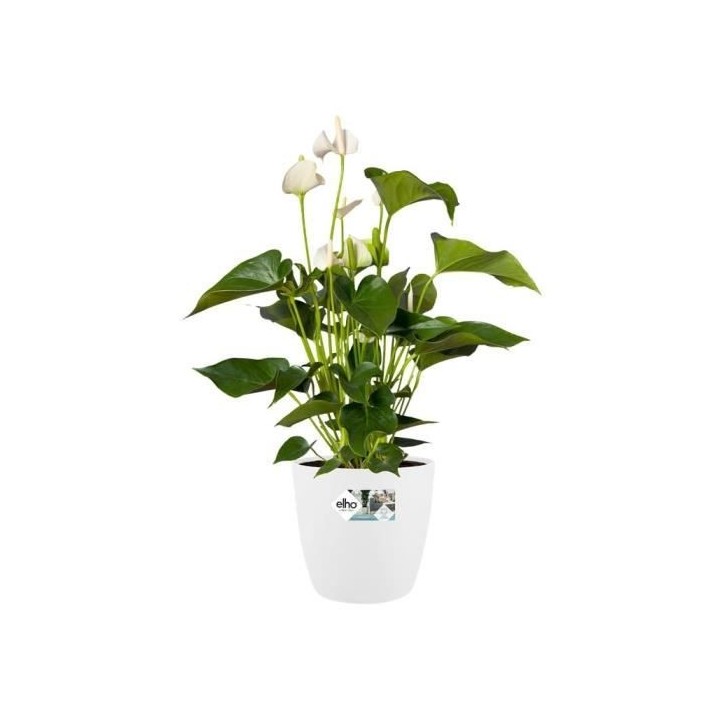 ELHO Brussels Pot de fleurs rond Roues 47 - Blanc - Ø 47 x H 44 cm -