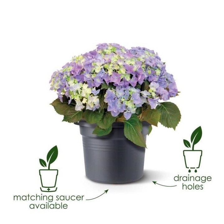 Elho Bac a fleurs Green Basics Cilinder 65 - Noir - Ø 64 x H 49 cm -