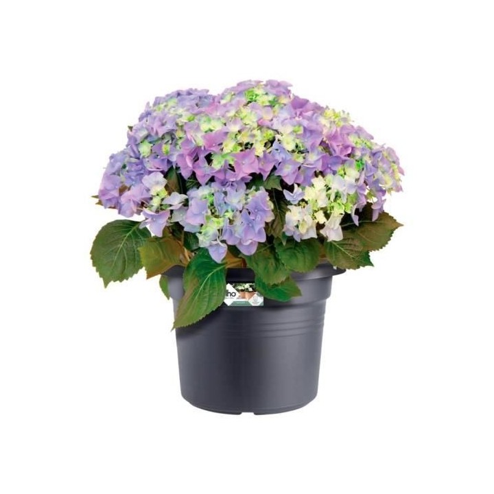 Elho Bac a fleurs Green Basics Cilinder 55 - Noir - Ø 54 x H 41 cm -