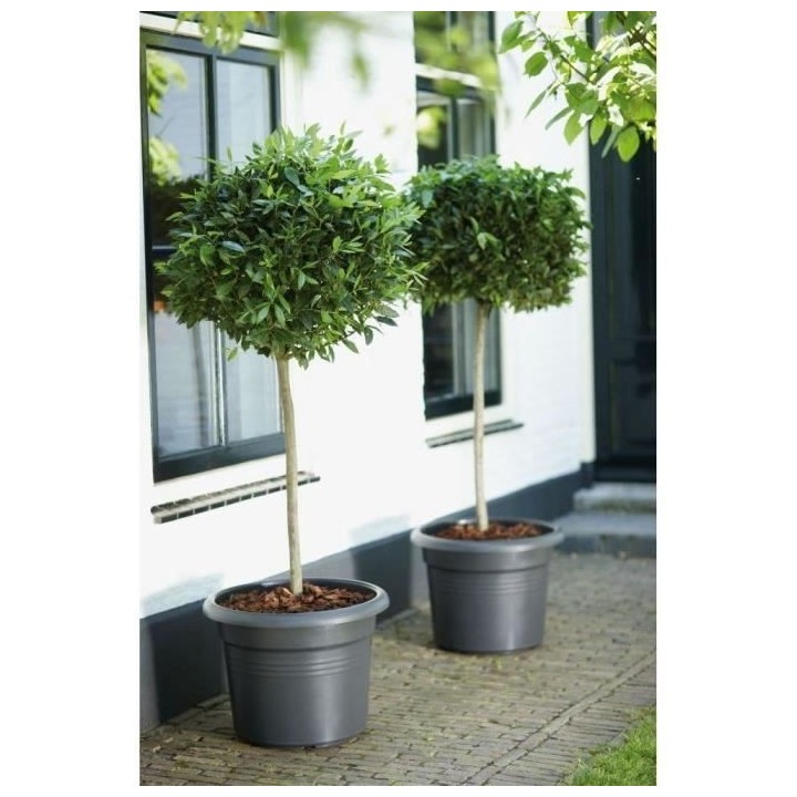 Elho Bac a fleurs Green Basics Cilinder 55 - Noir - Ø 54 x H 41 cm -