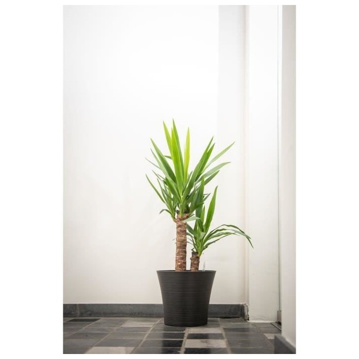 Pot de fleurs - GARDEN ID - Green Care Sense Noir-Anthracite - 40 x 34