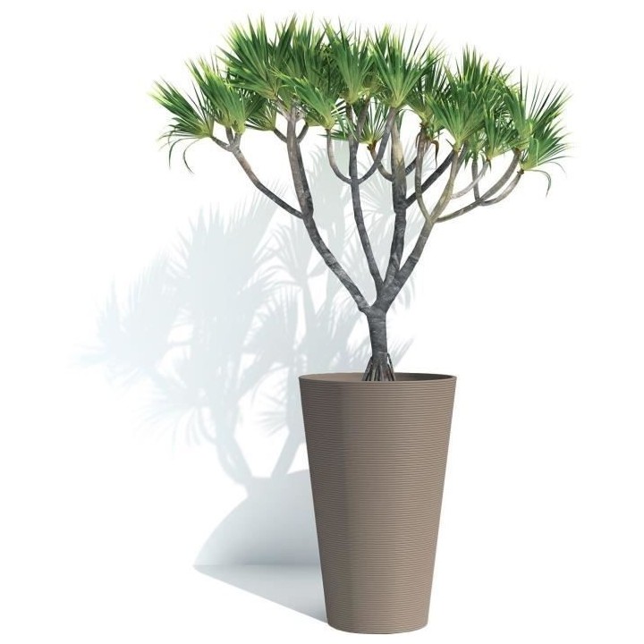 Pot de fleurs haut - GARDEN ID - Green Care Sense Haut Taupe - 55 cm -