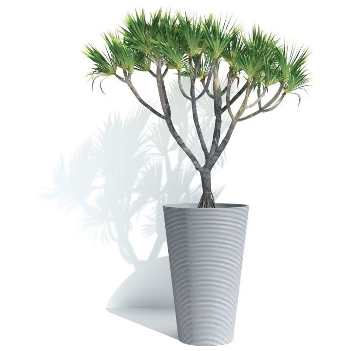 Pot de fleurs haut - GARDEN ID - Green Care Sense Haut Pierre bleue -