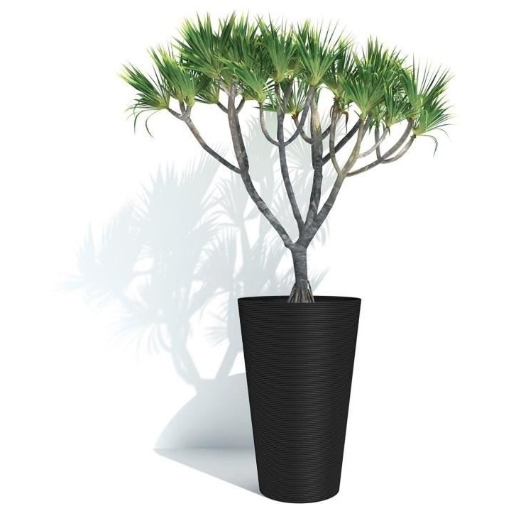 Pot de fleurs haut - GARDEN ID - Green Care Sense Haut Noir-Anthr. - 5