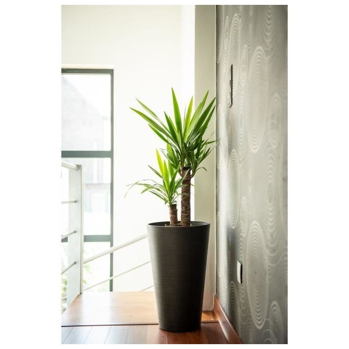 Pot de fleurs haut - GARDEN ID - Green Care Sense Haut Noir-Anthr. - 5