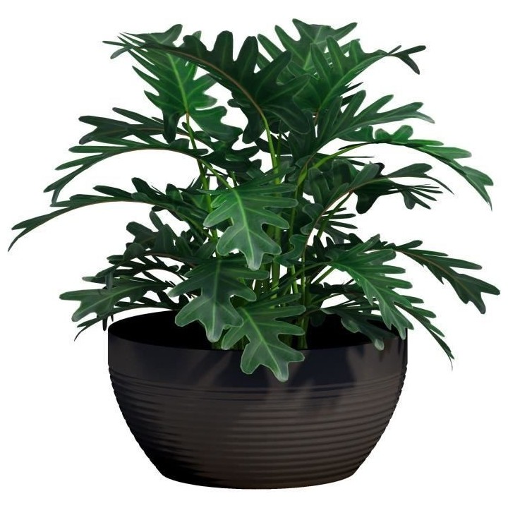 Coupe - GARDEN ID - Green Care Impact Noir-Anth - 35 x 16 cm - Garanti