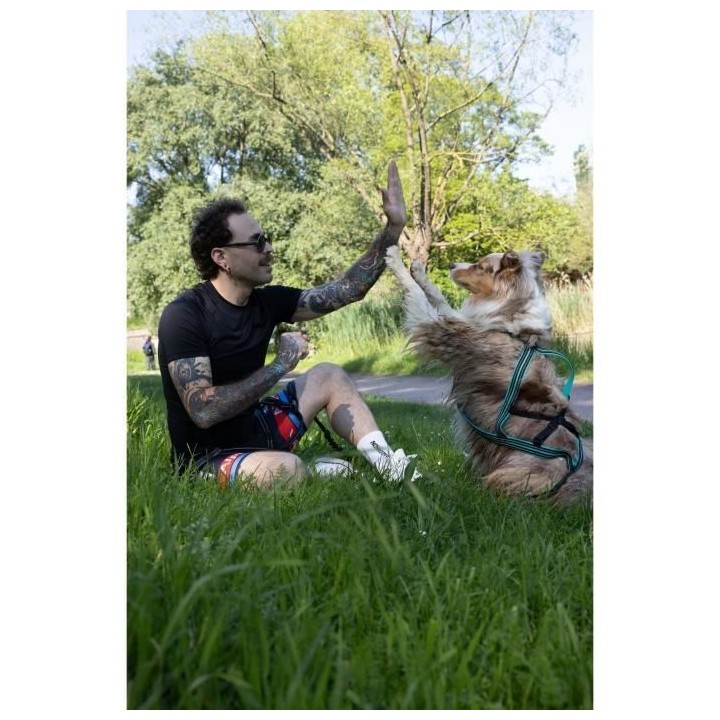 Harnais de traction pour chien - OLYMPIA - L - Type X-back - Bleu