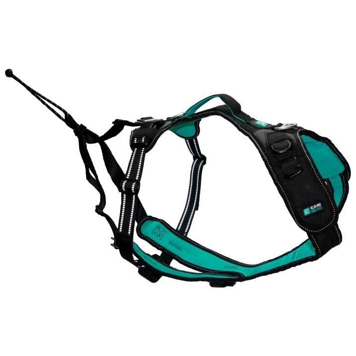 Harnais pour chien - SYMBIOZ - XS - Noir / Bleu