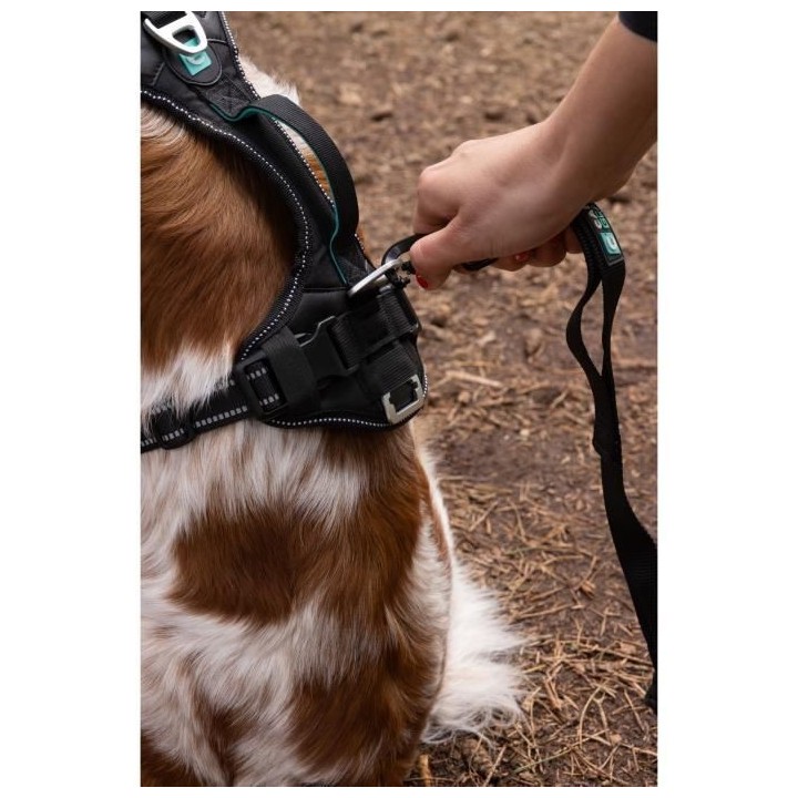 Harnais pour chien - SYMBIOZ - XS - Noir / Bleu