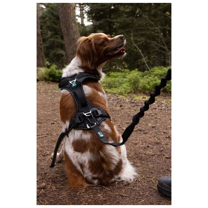 Harnais pour chien - SYMBIOZ - XS - Noir / Bleu