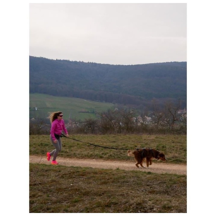 Harnais pour chien - SYMBIOZ - L - Noir / Bleu