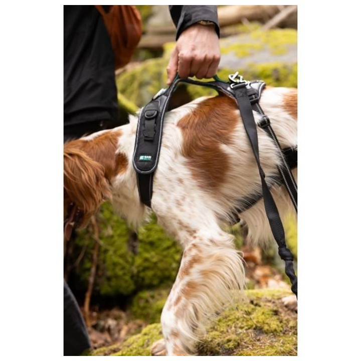 Harnais pour chien - SYMBIOZ - L - Noir / Bleu