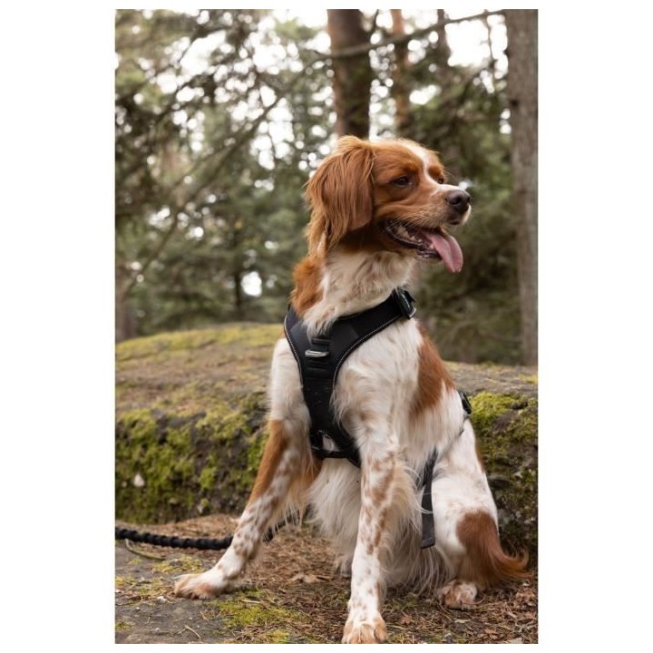 Harnais pour chien - SYMBIOZ - L - Noir / Bleu