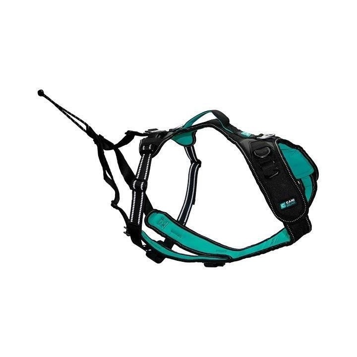 Harnais pour chien - SYMBIOZ - XL - Noir / Bleu