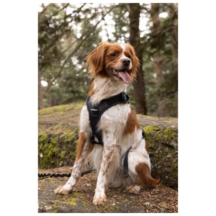 Harnais pour chien - SYMBIOZ - XL - Noir / Bleu