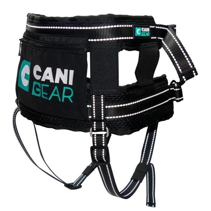 Baudrier - OLYMPIA - Ergonomique - Réduit tensions lombaires - Noir