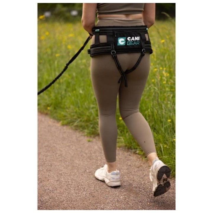 Baudrier - OLYMPIA - Ergonomique - Réduit tensions lombaires - Noir