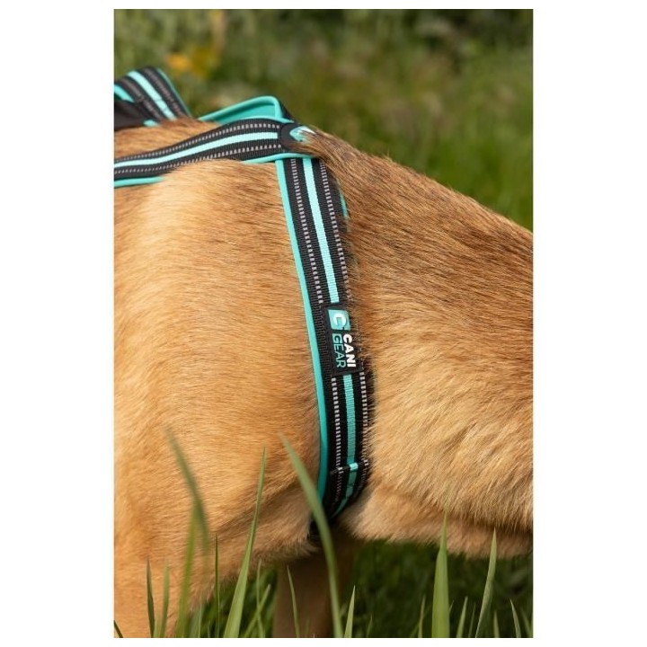 Harnais de traction pour chien - OLYMPIA - XS - Type X-back - Bleu