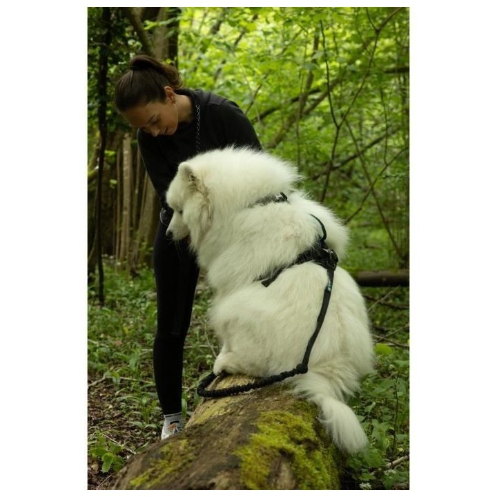 Harnais pour chien - SYMBIOZ - S - Noir / Bleu