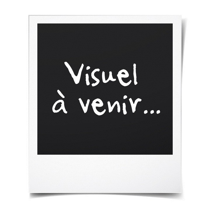 Seche-linge pompe a chaleur INDESIT YTM0871FR - 7 kg - Classe A+ - Bla