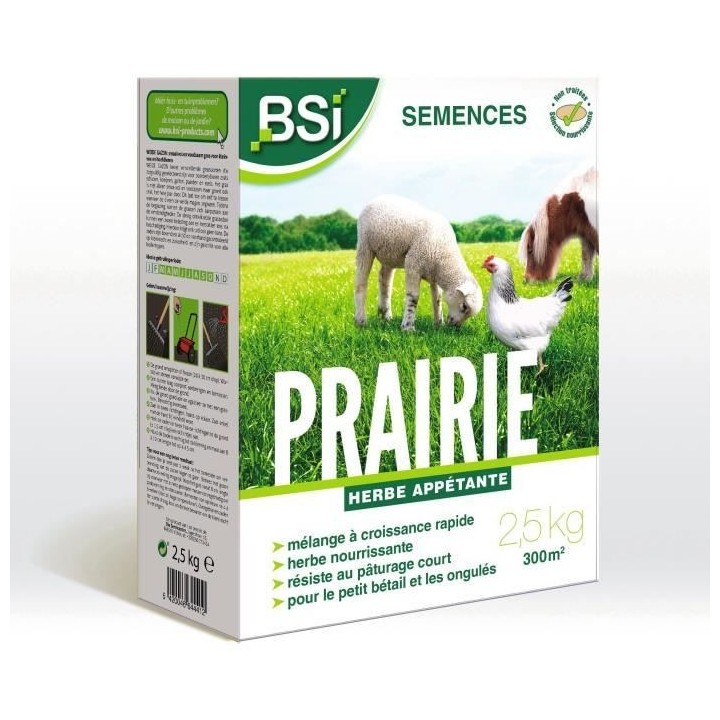 BSI - Semences de Gazon - Prairie - Haute qualité - Grande Surface -