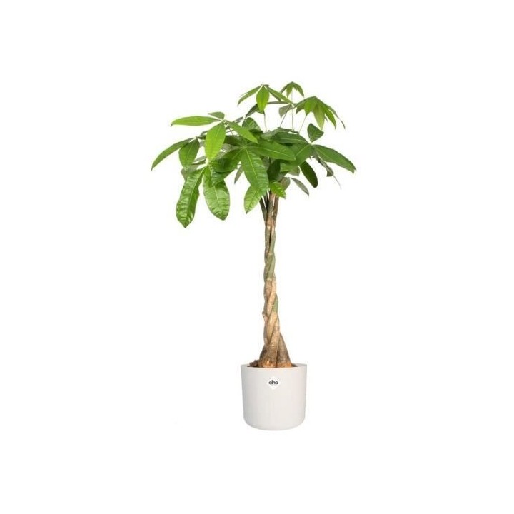Pot De Fleurs Rond B.FOR - Plastique - Ø25 - Blanc - Elho