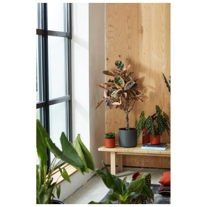 Pot De Fleurs Rond ELHO - b.for soft round - Plastique - Ø30 - Anthra