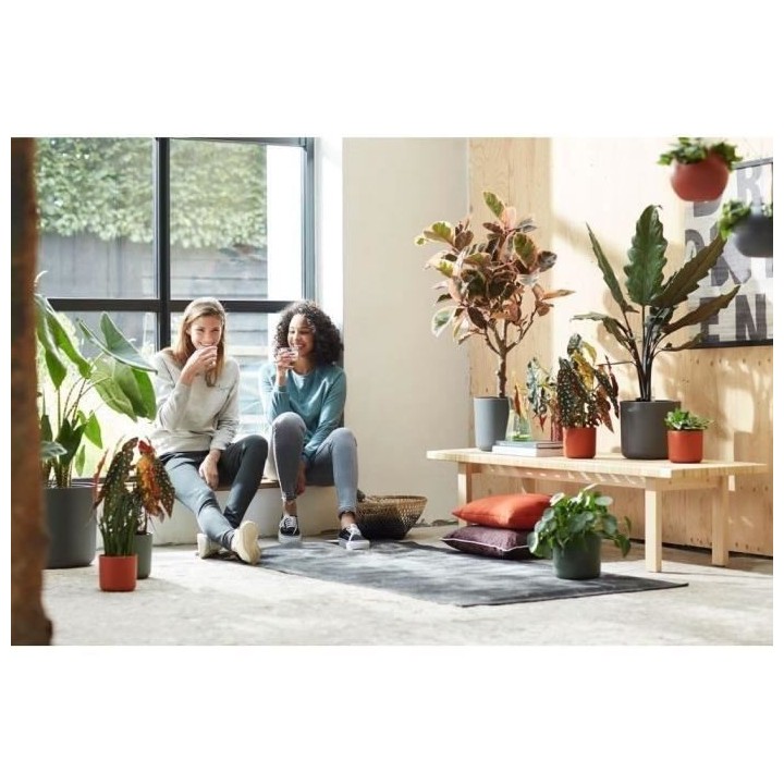 Pot de fleurs rond ELHO B.for Soft - Noir - Ø 35 x H 32 cm - intérie