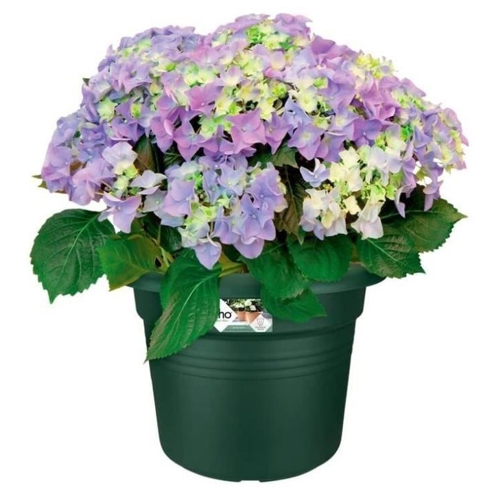 Pot De Fleurs Rond GREEN BASICS - Plastique - Ø40 - Leaf Green