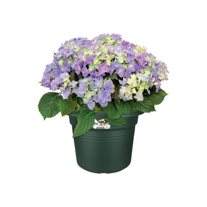 Elho Bac a fleurs Green Basics Cilinder 55 - Vert - Ø 54 x H 41 cm -