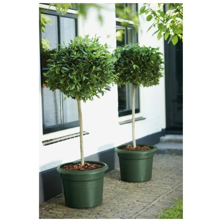 Elho Bac a fleurs Green Basics Cilinder 55 - Vert - Ø 54 x H 41 cm -