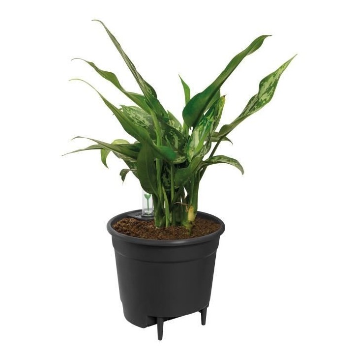 Elho Self-watering Insert Pot a fleurs 33 - Noir - Ø 33 x H 31 cm - i