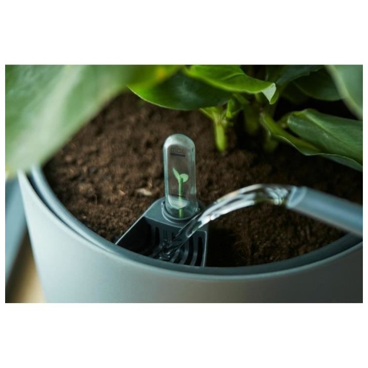 Elho Self-watering Insert Pot a fleurs 33 - Noir - Ø 33 x H 31 cm - i