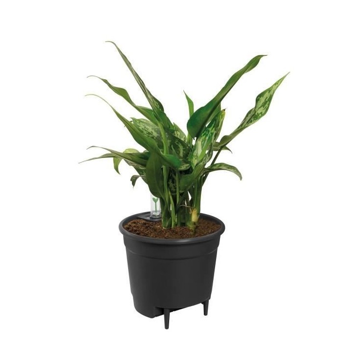 Elho Self-watering Insert Pot a fleurs 36 - Noir - Ø 36 x H 35 cm - i