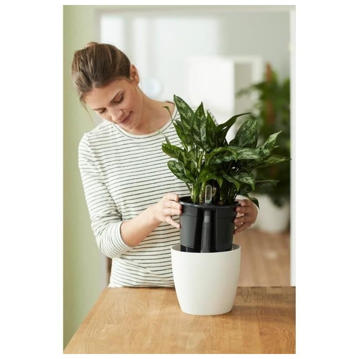 Elho Self-watering Insert Pot a fleurs 36 - Noir - Ø 36 x H 35 cm - i