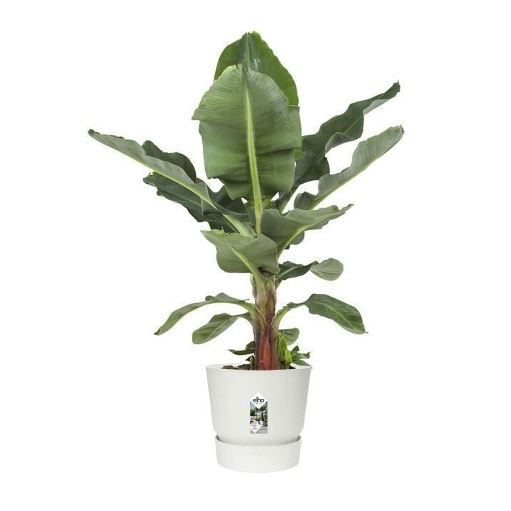 ELHO Pot de fleurs rond Greenville 40 - Extérieur - Ø 39 x H 36,8 cm