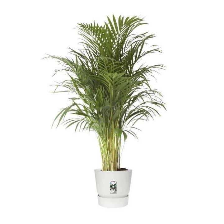 elho Greenville Pflanztopf Ø47 cm Pot a Plantes weiß - 123