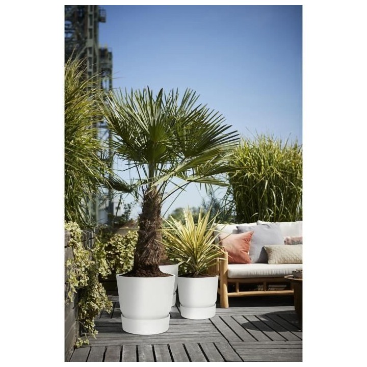 elho Greenville Pflanztopf Ø47 cm Pot a Plantes weiß - 123