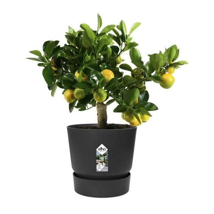 ELHO Pot de fleurs rond Greenville 25 - Extérieur - Ø 24,48 x H 23,3