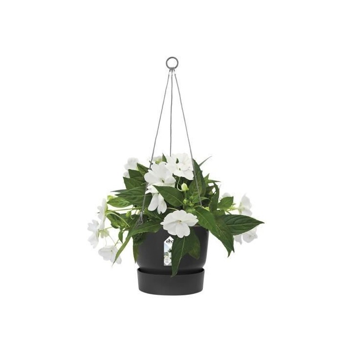 elho Greenville Suspension Noir Ø 24 cm Ampel - 123