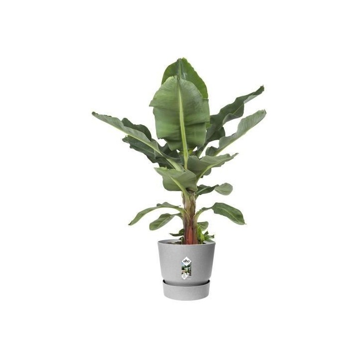 ELHO Greenville Pot de fleurs rondØ 47 x H 44 cm - extérieur - 100 4