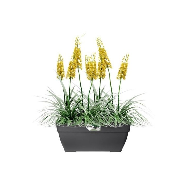 Elho Vibia Campana Bac a fleurs Terrasse 80 - Noir - L 77 x B 35 x H 3