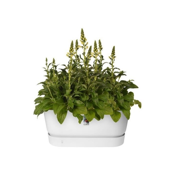 Jardiniere - ELHO - Greenville Terrase 80 Roues - Blanc - 78 x 35,9 x