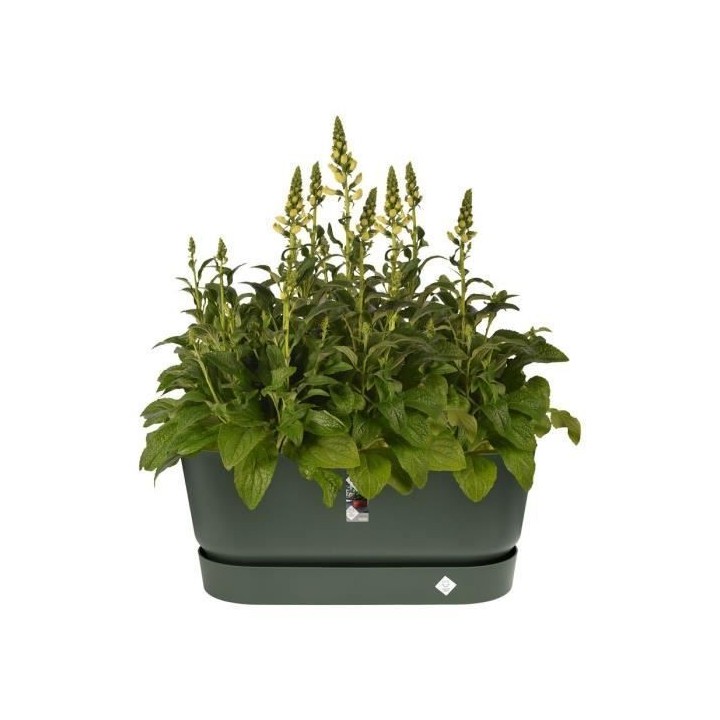 Greenville Terrase 80 Roues leaf green