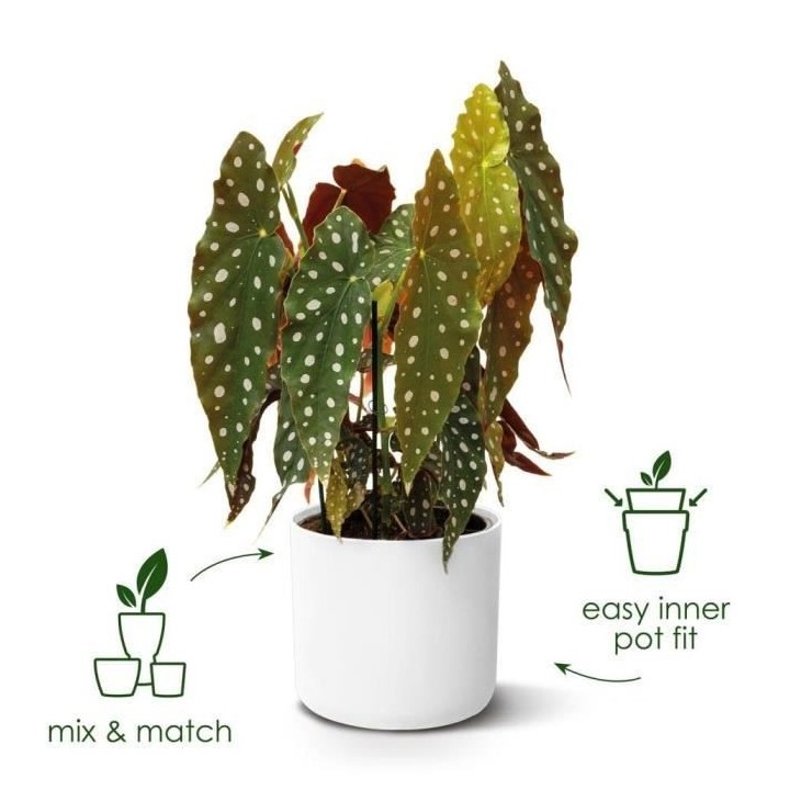 ELHO B.for Soft Pot de fleurs rond 35 - Blanc - Ø 35 x H 32 cm - int