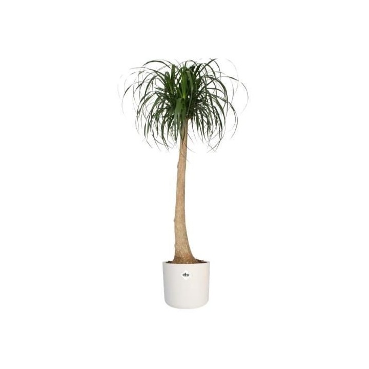 ELHO B.for Soft Pot de fleurs rond 35 - Blanc - Ø 35 x H 32 cm - int