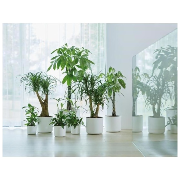 ELHO B.for Soft Pot de fleurs rond 35 - Blanc - Ø 35 x H 32 cm - int