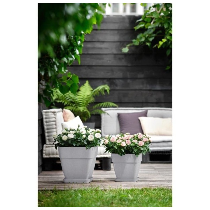 Elho Vibia Campana Bac a fleurs Carré 37 - Gris - Ø 36 x H 36 cm - e